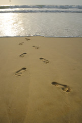 empreintes de pas sur la plage 2