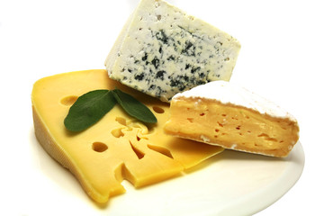 swiss cheese roquefort and camembert on white dish