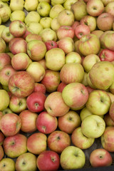 pile of apples