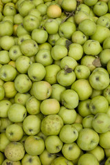green apples in pile