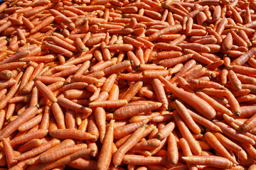 Lots of orange carrots