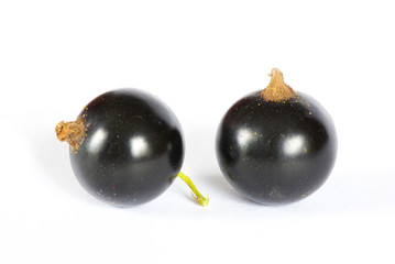 black currant fruits