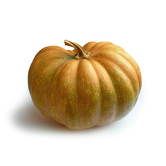 ZUCCA  tipico ortaggio d'autunno simbolo della festa Halloween
