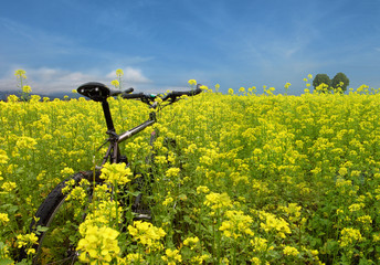 er-fahren