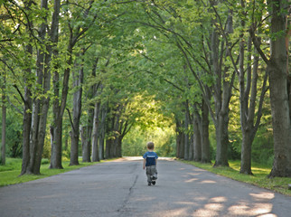 Boy walking down a tree lined road