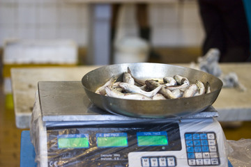 pesce