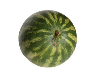 Fresh green watermelon lying on white background