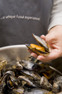 Freshly cooked black mussels, still in the shell