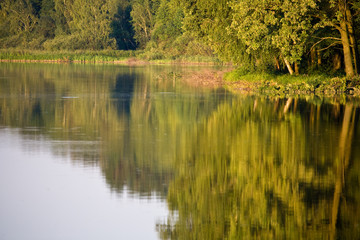 view series: lake with green tree reflections in the water