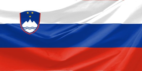 Slovenia Flag