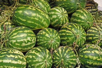 A lot of watermelons