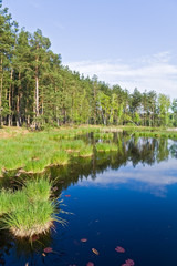 Lake in the forest in evening sun light.