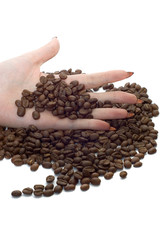 Female hand and coffee beans on white
