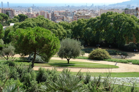 il parco