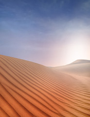 Fototapeta na wymiar Sahara Desert - Sanddunes