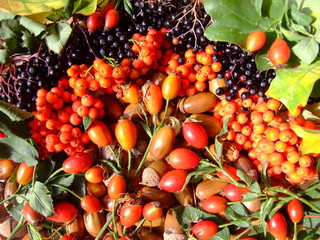 Herbstschätze