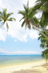 Obraz na płótnie Canvas tropic shore