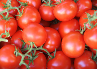 tomaten
