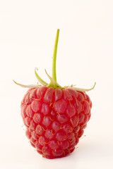Raspberry fruit with stem and leaves