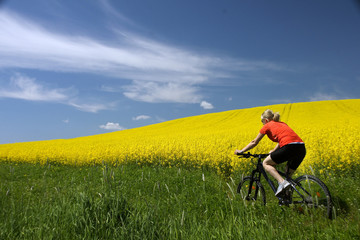 Radlerin vor Rapsfeld