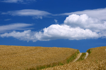 Landschaft mit Weg
