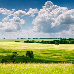 beautiful summer landscape..