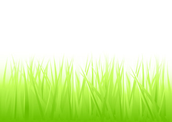 Fresh new lawn vector background.