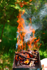 Brazier