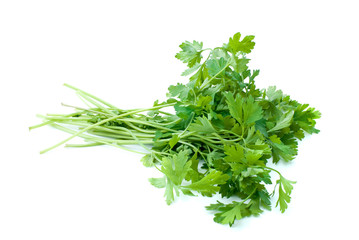 Bunch of parsley isolated on the white background
