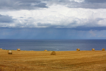 Landscape with hay bales