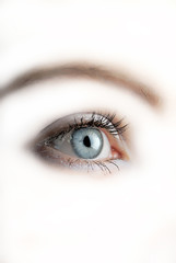female eye, sight aside on  white background