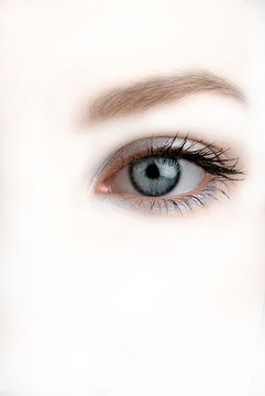 sight, female eye on white background