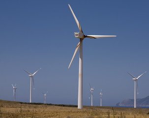 wind turbines farm. alternative energy source