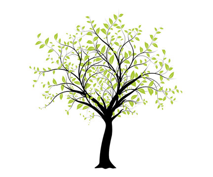 vecteur série - décoration vectorielle verte arbre sur blanc