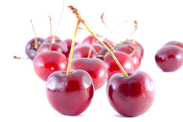 cherries on white background