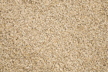 Rice background