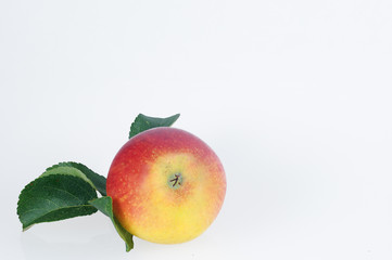 Apfel