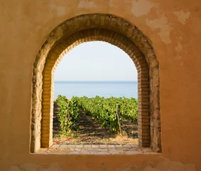 Photo sur Plexiglas Vignoble fenêtre cintrée sur le vignoble
