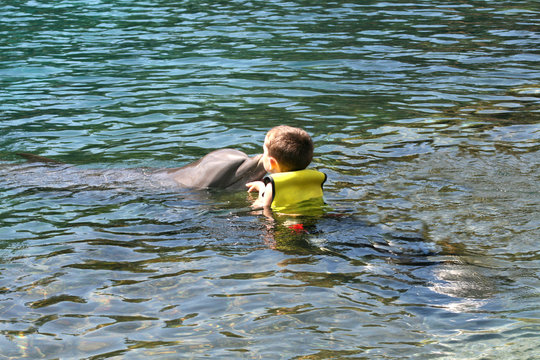 young boy kissing dolphin