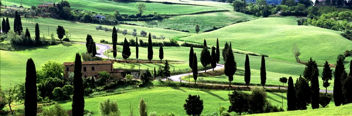 Fotobehang S-curve, cipressenlaan, Toscane, Val d& 39 Orcia, Monticchiello, Italië © PANORAMO