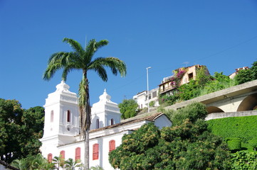 Fototapeta na wymiar Biały Kościół i kokosowy, Salvador de Bahia, Brazylia.