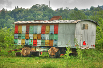 Carro alveare per api in HDR