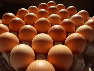 eggs in a cardboard tray