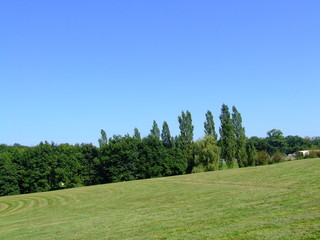 Parc en été