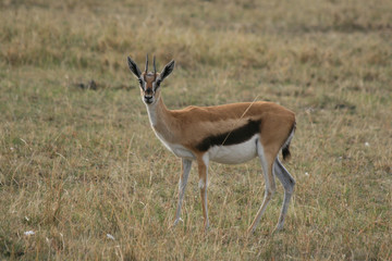 Photo taken in Africa