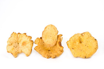 fresh golden chanterelles isolated on white