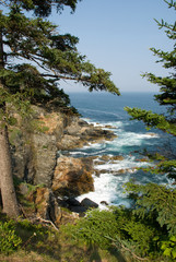Acadia coast