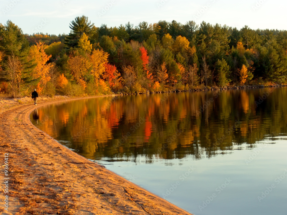 Poster autumn forest on the lake