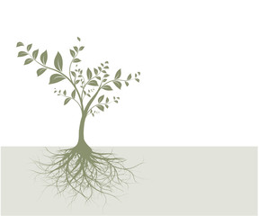 vecteur série - arbre et racines vectorielles sur fond beige