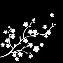 Afwasbaar Fotobehang Zwart wit bloemen witte tak op zwarte achtergrond